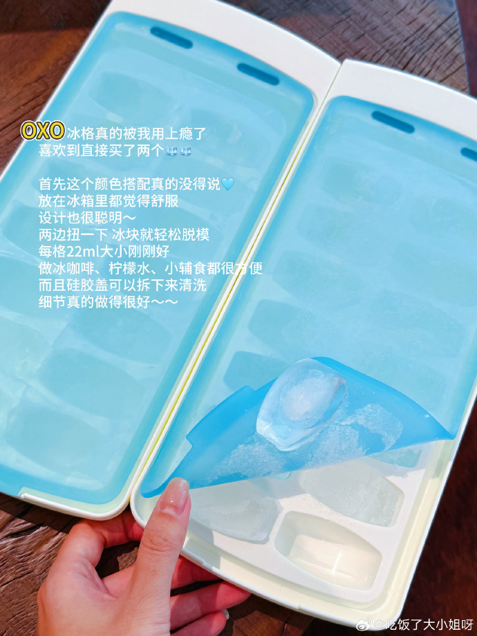 蓝色带盖冰格与取出的冰块