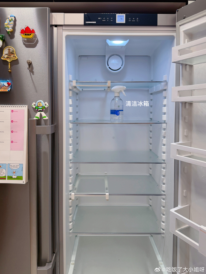 清空并完成清洁的冰箱内部